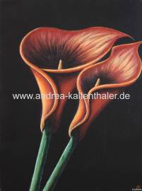 Calla Triptychon