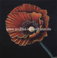 Mohn Triptychon